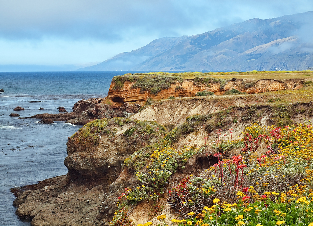 Autozone san luis obispo Motor Total